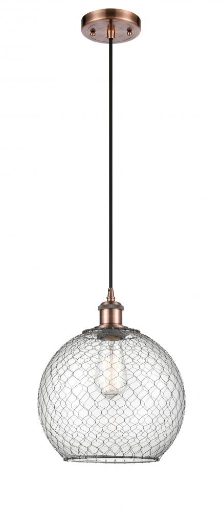 Large Farmhouse Chicken Wire 1 Light Mini Pendant