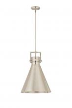 Innovations Lighting 710-1S-SN-M711-14SN - Newton Cone Pendant