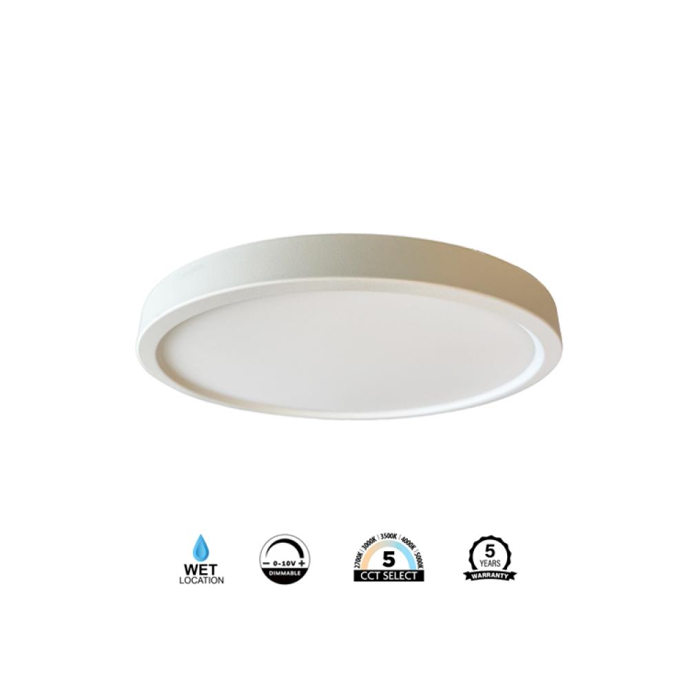 Flush Mount White