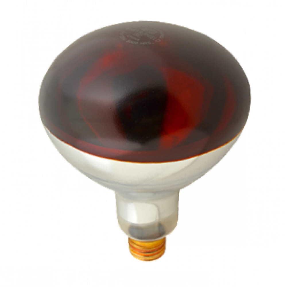 INCANDESCENT SAFETY MAX INFRARED 250W R40 E26 120V RED