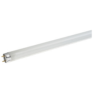 LED lamps T8 36IN G13 Base 11W 35K 1600LM 120-277/347V Glass STANDARD