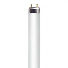 Stanpro (Standard Products Inc.) 11133 - FLUORESCENT LINEAR T8 40W 3500K RAPID START (RS) MED BIPIN G13