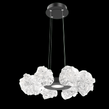  CHB0059-24-MB-BC-CA1-L3 - Blossom Radial Ring Chandelier - 24