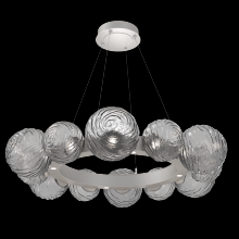 Hammerton CHB0092-39-BS-S-CA1-L1 - Gaia Radial Ring Chandelier