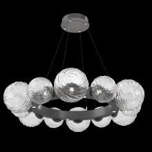 Hammerton CHB0092-39-GP-C-CA1-L1 - Gaia Radial Ring Chandelier