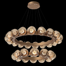 Hammerton CHB0095-2T-NB-ZB-CA1-L1 - Luna Radial Ring Chandelier