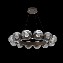 Hammerton CHB0095-36-FB-ZS-CA1-L1 - Luna Radial Ring Chandelier