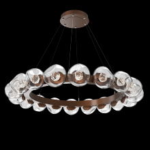  CHB0095-48-BB-FC-CA1-L1 - Luna Radial Ring Chandelier