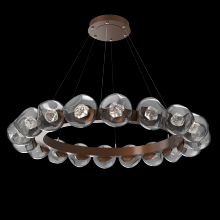 Hammerton CHB0095-48-BB-ZS-CA1-L1 - Luna Radial Ring Chandelier