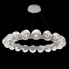 Hammerton CHB0095-48-BS-FC-CA1-L1 - Luna Radial Ring Chandelier