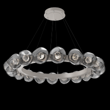 Hammerton CHB0095-48-BS-FS-CA1-L1 - Luna Radial Ring Chandelier