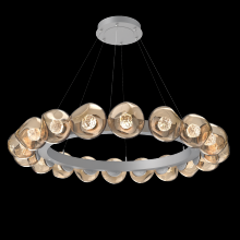 Hammerton CHB0095-48-CS-FB-CA1-L3 - Luna Radial Ring Chandelier