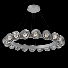 Hammerton CHB0095-48-CS-FS-CA1-L1 - Luna Radial Ring Chandelier