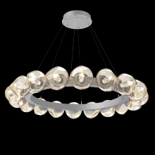 Hammerton CHB0095-48-CS-GA-CA1-L1 - Luna Radial Ring Chandelier