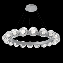 Hammerton CHB0095-48-CS-ZC-CA1-L1 - Luna Radial Ring Chandelier