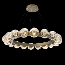 Hammerton CHB0095-48-GB-FA-CA1-L1 - Luna Radial Ring Chandelier