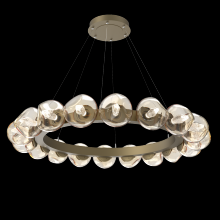 Hammerton CHB0095-48-GB-GA-CA1-L3 - Luna Radial Ring Chandelier