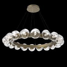 Hammerton CHB0095-48-GB-GC-CA1-L1 - Luna Radial Ring Chandelier