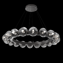 Hammerton CHB0095-48-GP-GB-CA1-L1 - Luna Radial Ring Chandelier