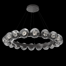  CHB0095-48-GP-ZS-CA1-L3 - Luna Radial Ring Chandelier