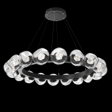 Hammerton CHB0095-48-MB-ZC-CA1-L1 - Luna Radial Ring Chandelier