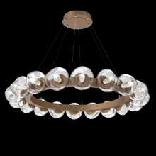 Hammerton CHB0095-48-NB-GC-CA1-L1 - Luna Radial Ring Chandelier