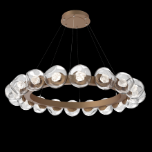 Hammerton CHB0095-48-NB-ZC-CA1-L1 - Luna Radial Ring Chandelier