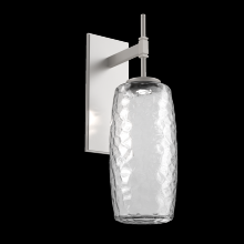 Hammerton IDB0091-01-BS-C-L3 - Vessel Tempo Sconce (Large)-Beige Silver-Clear Blown Glass-LED 3000K