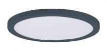 Maxim 57694WTBK - Chip-Flush Mount