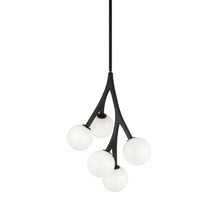 Matteo Lighting C81505BKOP - Rami Chandelier