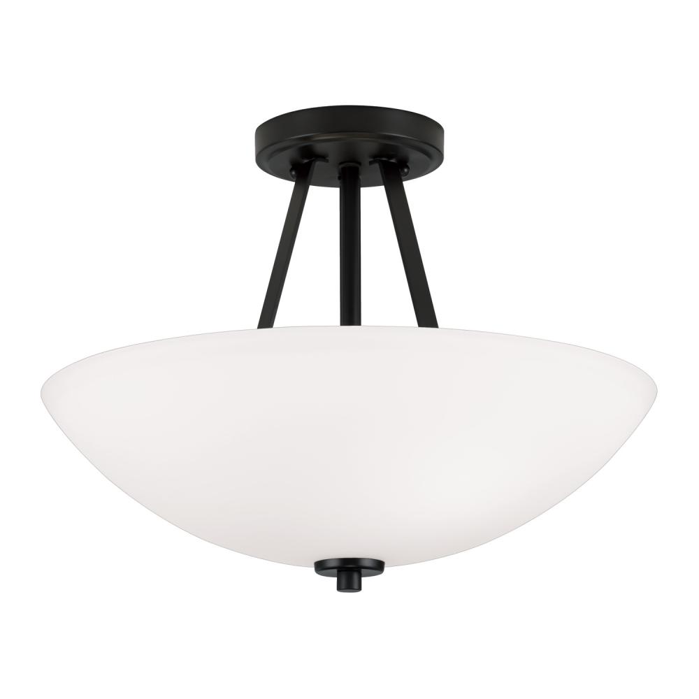 2 Light Dual Mount Semi-Flush/Pendant