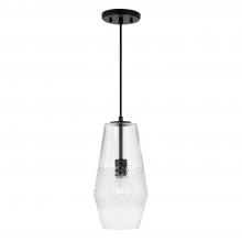 Capital Canada 345011MB - 1 Light Pendant