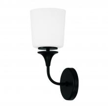 Capital Canada 648911MB-541 - 1 Light Sconce