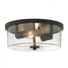 Golden Canada 4307-FM BLK-SD - Rayne Flush Mount in Matte Black with Seeded Glass