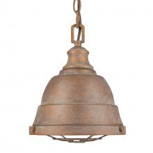 Golden Canada 7312-S CP - Bartlett Small Pendant in Copper Patina