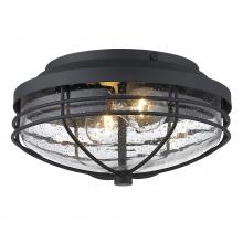 Golden Canada 9808-OFM NB-SD - Seaport Outdoor Flush Mount in Natural Black