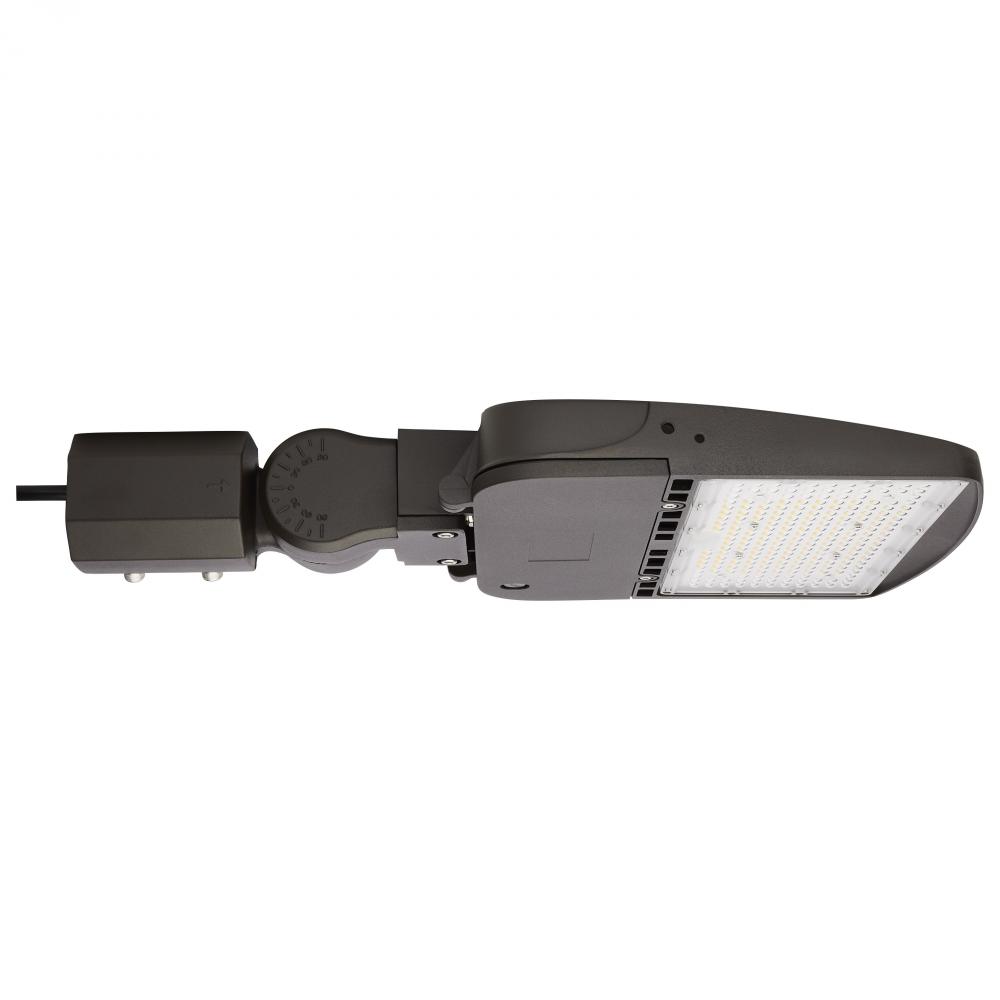 LED Area Light Type IV; 150W; Bronze Finish; 4000K; 277-480V