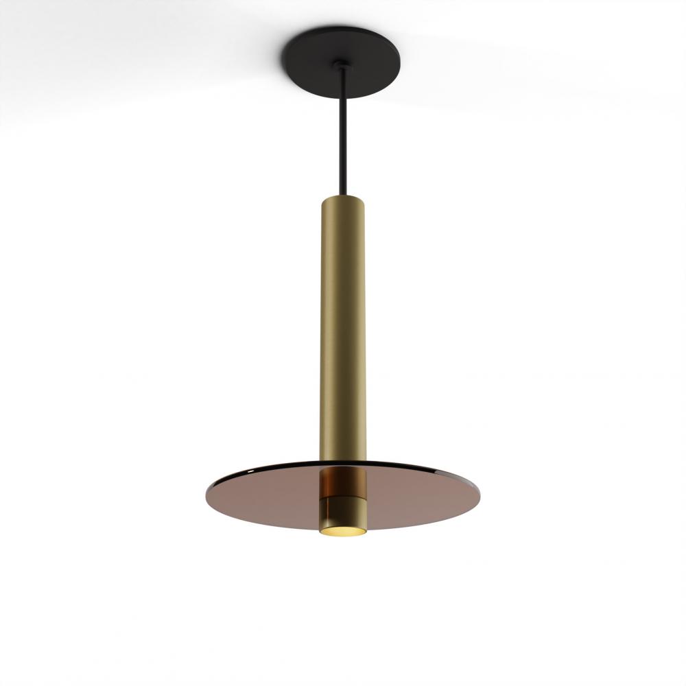 Combi Pendant 12" Single Unit Brass with Matte Black Canopy