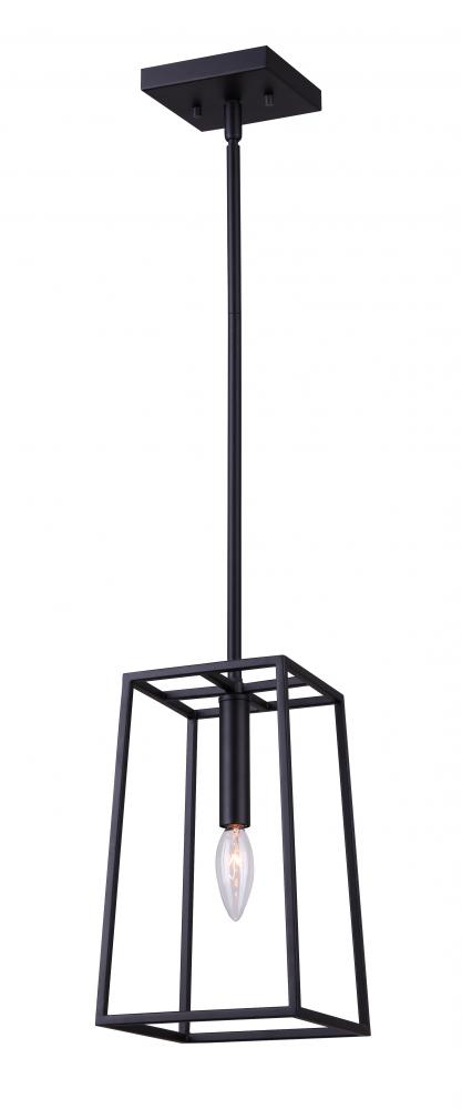 Wexford 1 Light Pendant, Black Finish