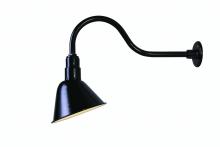 Canarm BL10WACBK - Barn Light 1 Light Outdoor Lantern, Black Finish