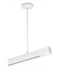  TT591 24IN WH - Rigid Ceiling Pend Stem Kt 24"