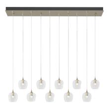 Hubbardton Forge - Canada 131203-SKT-STND-84-ZM0709 - Ume 10-Light Pendant