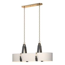 Hubbardton Forge - Canada 134070-SKT-STND-27-LK-SE4608 - Saratoga Oval Pendant