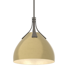 Hubbardton Forge - Canada 134502-SKT-MULT-07-86 - Summit Pendant