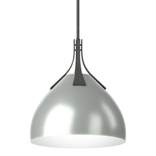 Hubbardton Forge - Canada 134502-SKT-MULT-20-82 - Summit Pendant