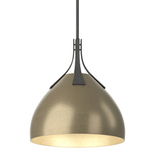 Hubbardton Forge - Canada 134502-SKT-MULT-20-84 - Summit Pendant