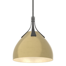 Hubbardton Forge - Canada 134502-SKT-MULT-20-86 - Summit Pendant