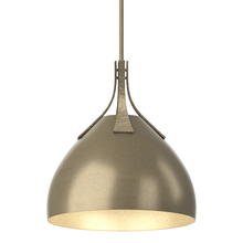 Hubbardton Forge - Canada 134502-SKT-MULT-84-84 - Summit Pendant