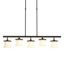 Hubbardton Forge - Canada 136605-SKT-LONG-14-GG0242 - Wren 5 Light Pendant