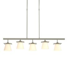  136605-SKT-LONG-85-GG0242 - Wren 5 Light Pendant